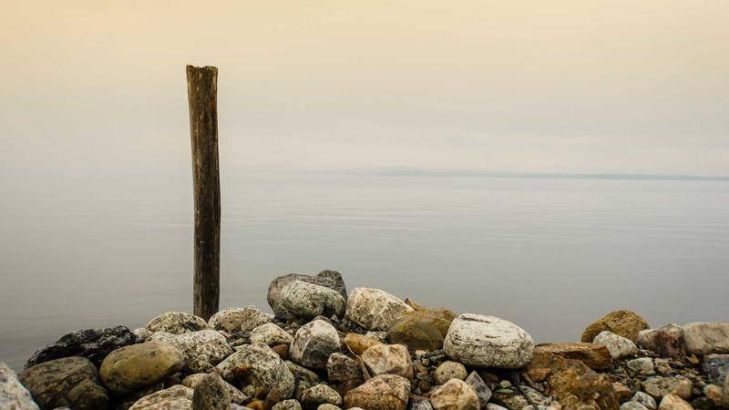 直播带货场景，主播对着手机屏幕自信表达