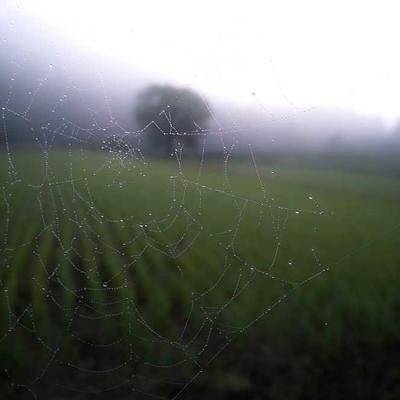 表情包：传统提词器跟不上的抓狂表情