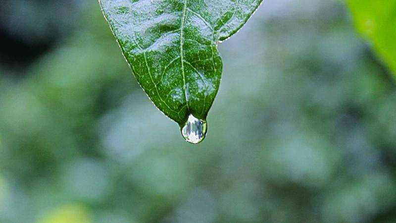 提词器屏幕文字显示效果示意图，清晰的字体在半透明背景上